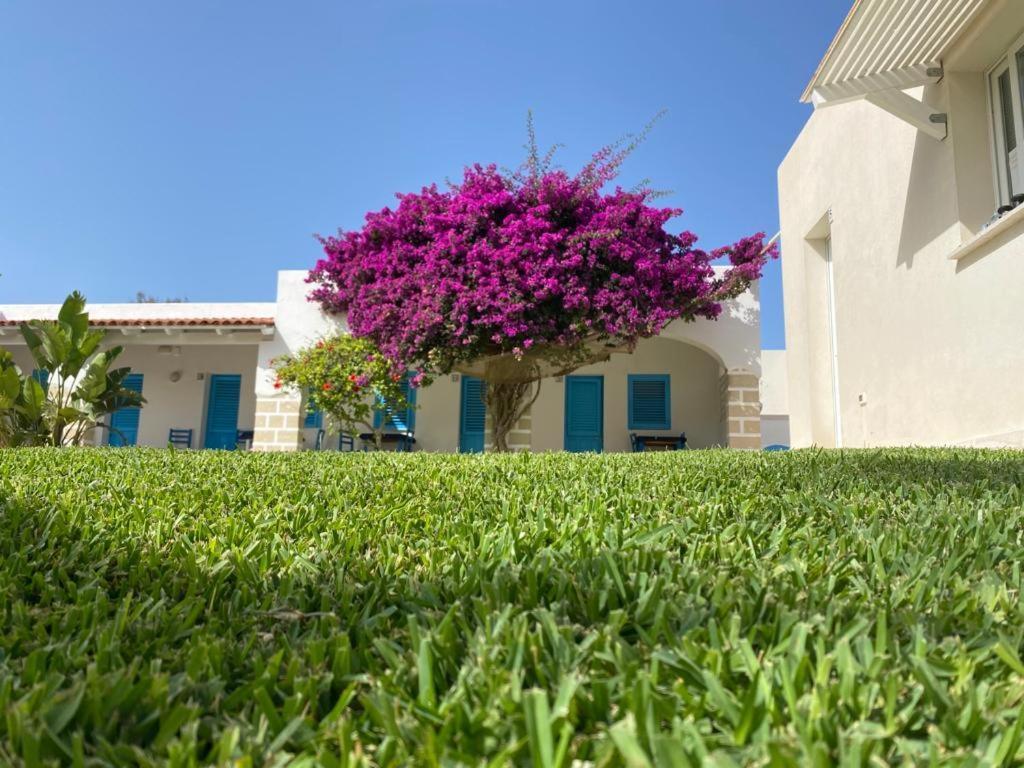 Hotel Antichi Mulini Favignana Exterior foto